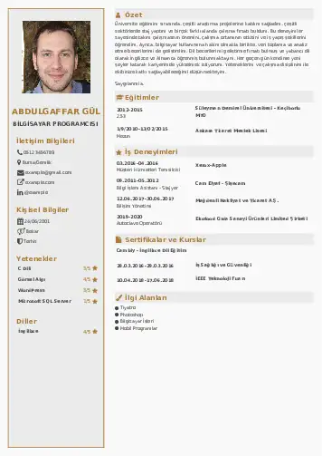 Bilgisayar Programcısı CV Örnekleri cv indir